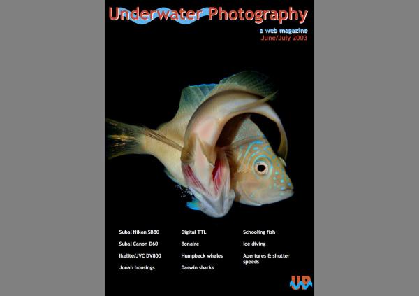 UwP13 Cover