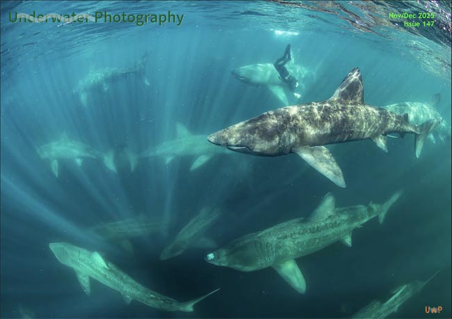UwP147 Cover