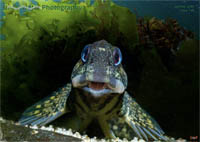 UwP148 Cover - Jan/Feb 2026