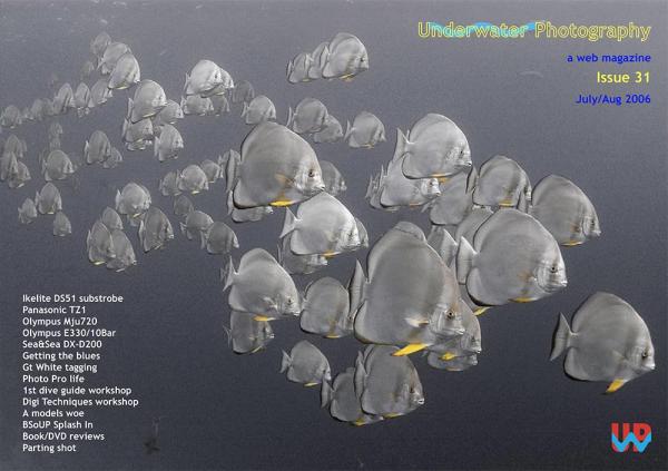 UwP31 Cover