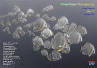 UwP31 Cover - July/Aug 2006