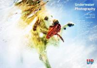 UwP44 Cover - Sept/Oct 2008