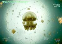 UwP45 Cover - Nov/Dec 2008