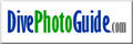 Dive Photo Guide